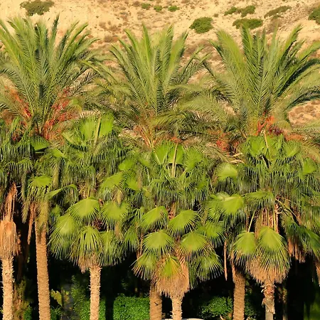 Columbia Hotel Pissouri
